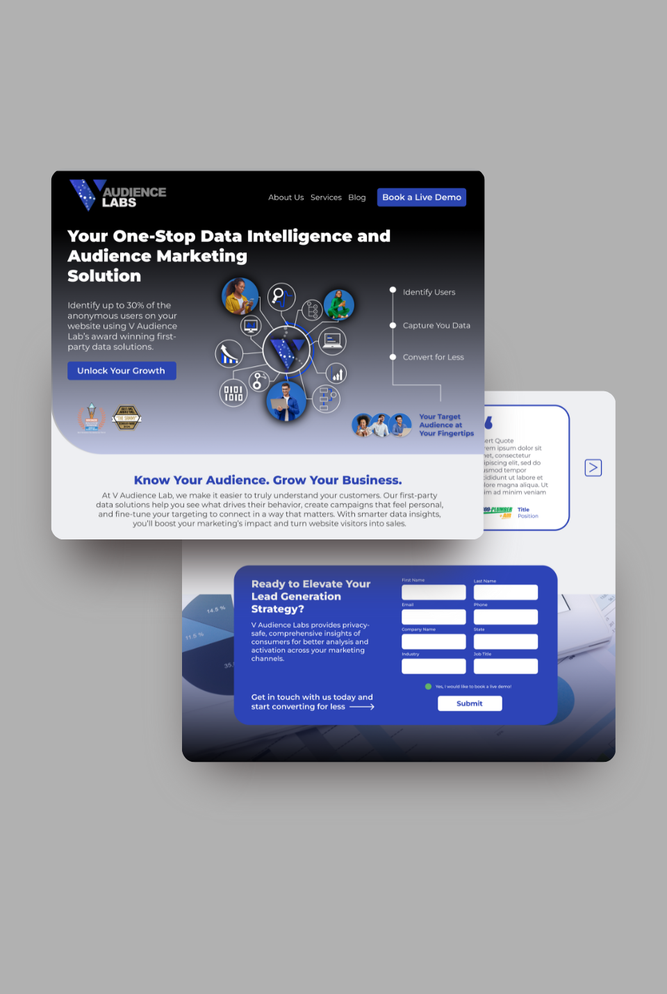 V Audience Labs Website Mock-Up